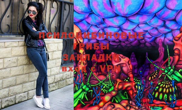 бошки Коряжма