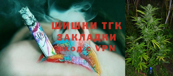 круглые Корсаков